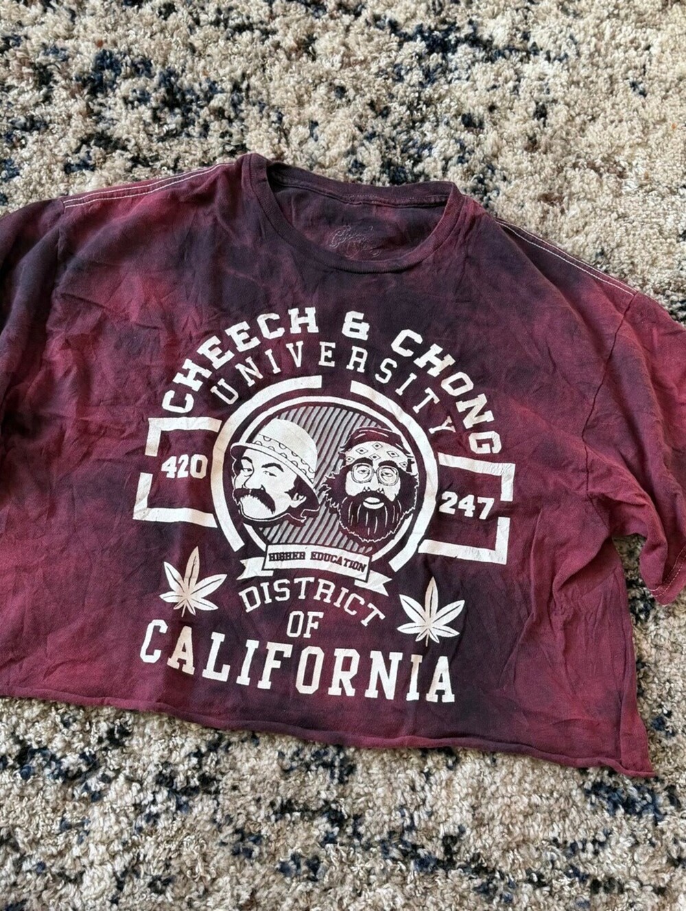 Cheech and Chong University Crop Top Tee Shirt